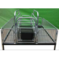 Atacado Best Quality Used Farrowing Crate For Pigs